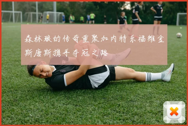 森林狼的传奇重聚加内特乐福维金斯唐斯携手夺冠之路