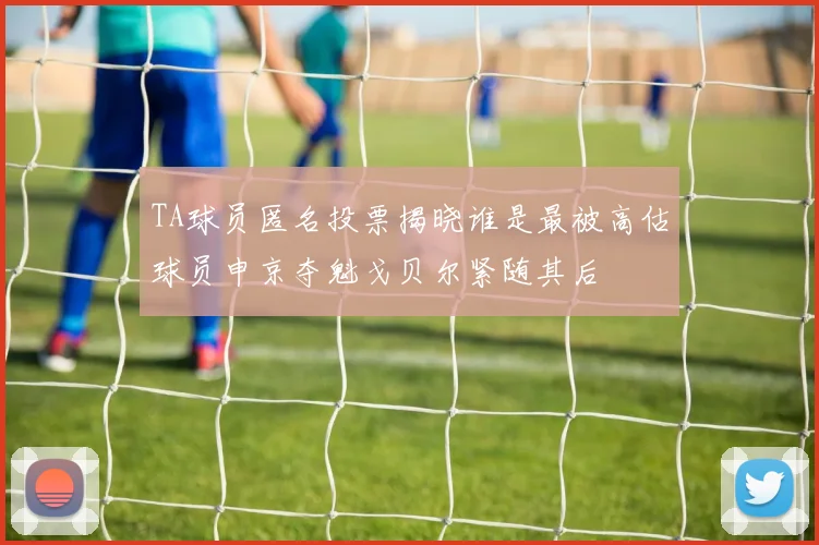 TA球员匿名投票揭晓谁是最被高估球员申京夺魁戈贝尔紧随其后